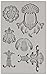 Prima Marketing 814786 Baroque No.2 Iron Orchid Designs Vintage Art Decor Mold, Grey