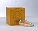 Dimmable Led Bulb, 6w LED Edison Bulb, 60w Incandescent Equivalent, 6W Vintage LED Filament Light Bulb, St64 Led Bulb,2400-2700K (Amber Glow) ,e26 /e27 Medium Screw Base, Amber Glass Cover, 4 Pack