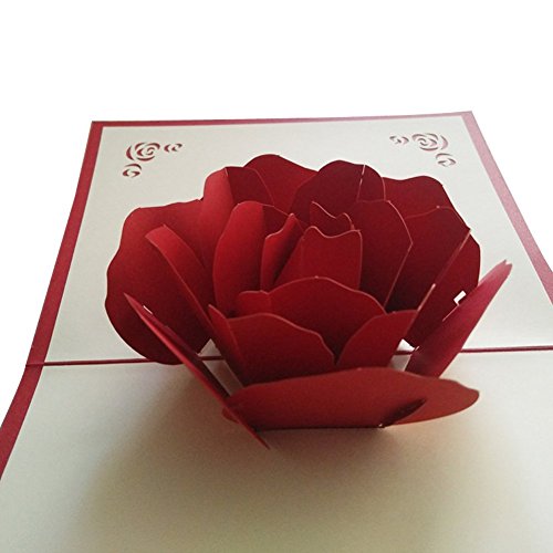 Anneweidinger Com Un Anniversaire Carte D Anniversaire Pop Up 3d Pop Up Avec Fleurs Fantastiques Faites A La Main Pour La Saint Valentin Une Invitation De Mariage Cartes Et Papier Cartonne Papeterie