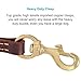 FAIRWIN Leather Dog Leash 6 Foot - Dog Training Leash Heavy Duty Dog Lead for Large Medium Small Dogs (M - 6 ft x 5/8 inch, Reddish Brown)