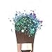 Hemway Mermaid Blue Mix Glitter Chunky Multi Purpose Dust Powder Arts & Crafts Wine Glass Decoration Weddings Flowers Cosmetic Face Eye Body Nails Skin Hair Festival 100g