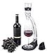 Stylish Wine Aerator Gift Set: Aluminum Ring Wine Aerator with Mini Stand, Base and Pouch | Elegantly Designed Gift Box