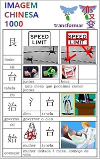 Livro IMAGEM CHINESA 1000: livro 2