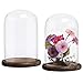 MyGift 8-Inch Clear Cloche Bell Glass Dome - Decorative Tabletop Centerpiece Cloche Jar Case with Rustic Dark Brown Wood Base, Set of 2