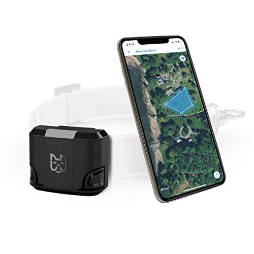 Wagz Freedom Smart Dog Collar, ShockFree Pet Containment and Wellness System Phone App