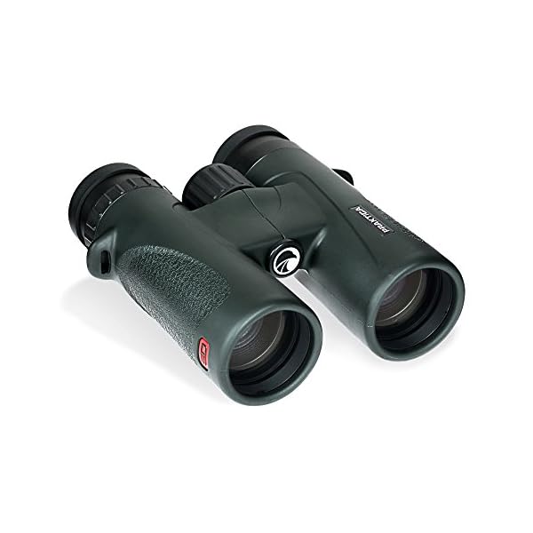 Praktica 8 X 42 mm Wasserdicht Marquis Fernglas mit Ed Glas – grün – Bild 3