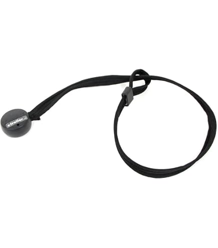 Amazon.com : SARIS Bike Rack Accessory, Trunk Rack Lock, 8 Feet