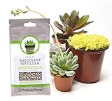 Succulent Fertilizer by Perfect Plants - Light Rate, Slow Release Formula for All Succulent and Cactus Types