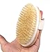 Dry Brushing Body Brush, Natural Bristle Dry Skin Exfoliating Brush Body Scrub for Beautiful Skin, Cellulite Treatment, Lymphatic Drainage, Soften Skin, Blood Circulation Improvement, Medium Strength