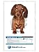 Winston & Bear 3D Dog Stickers - 2 Pack - Long Haired Brown Dachshund for Wall, Fridge, Toilet and More - Doxie 3D Decals - Retail Packaged Sausage Dog
