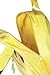 FAB Starpoint Boys' Pikachu 12 Inch Backpack with Extension Ears, Yellow