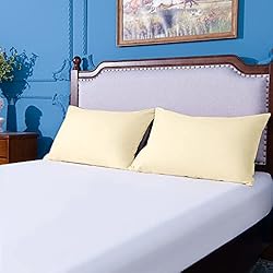 NTBAY 100% Brushed Microfiber Queen Pillowcases Set