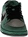 NIKE Men's Dunk Low Pro IW Skate Shoe