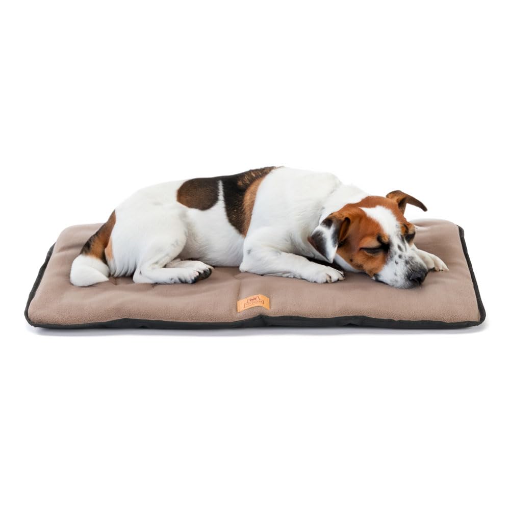 Ferplast Dog Bed Dog Cushion Dog Bed Medium Double sided Scratch-proof and waterproof fabric, Warm Microfleece 30° machine washable dog mattress 65 x 48 x 3,5 cm.Black