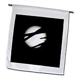 Florene Contemporary - Blackout Moon - 12 x 18 inch Garden Flag (fl_7723_1)