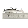 Goture-Soft-Lead-Fish-Set-Kit-LotsBest-Choice-For-Fishing-Lures-Baits-Tackle-Set-For-Freshwater-Trout-Bass-Salmon-Include-Vivid-Spinner-BaitsTopwater-Frog-LuresCrankbaits-LuresSpoon-Luresand-More