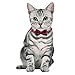2 Pack/Set Cat Collar Breakaway with Cute Bow Tie and Bell for Kitty Adjustable Safety Plaid, Red&Blue