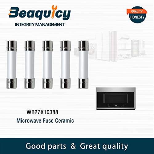 Beaquicy Microwave Fuse Ceramic Fuse Cartridge Fuse 20 Amp 250V SlowBlow Compatible with