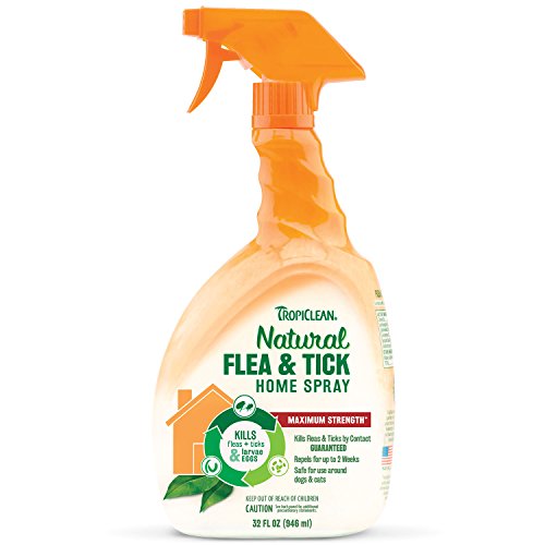 The 8 best flea treatment for carpets and furniture Sideror Reviews