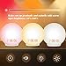 Wake-Up Light, HOKEKI Alarm Clock with 7 Colored Sunrise Simulation and Sunset Fading Night Light & Snooze Feature for Kids Heavy Sleepers, Dual Digital Clock with FM Radio and 7 Natural Sounds