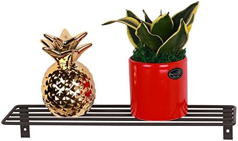 Kufox Metal Iron Wall Mounted Floating Display Shelf For Succulent Plant Pot,Bath Shower Soap Shampoo,Black,Size:14.1"×3.9"(Length×Depth)