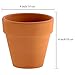 Winlyn 6 Pcs Terracotta Pot Clay Pots 4'' Clay Ceramic Pottery Planter Cactus Flower Pots Succulent Pot Drainage Hole- Great for Plants,Crafts,Wedding Favor Indoor/Outdoor Plant Crafts