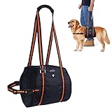 Dog Lift Harness, PETBABA Support Lifting Sling with Handle Mobility Rehabilitation for Joint Arthritis Injury Weak Senior Dog to Assist Aid, Help Walk, Climb Stairs, Get into Car - L in Black