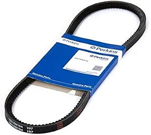 Introcan put 16x1.25 (380219900910)