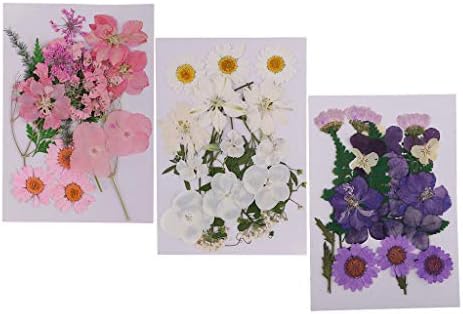 天然の花 押し花 ドライフラワー 花材 乾燥フラワー 乾燥花 海外輸入 3袋入り ろうそく Diy 材料 カード