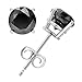 Vir Jewels 1/3 to 2 Carat Black Diamond Stud Earrings in .925 Sterling Silver with Rhodium Push Backs Round Prong Set