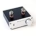 Dilvpoetry TUBE-01 Preamp 6J1 Vacuum Tube Amplifier Buffer Mini HiFi Preamplifier DC12V2A (Silver)