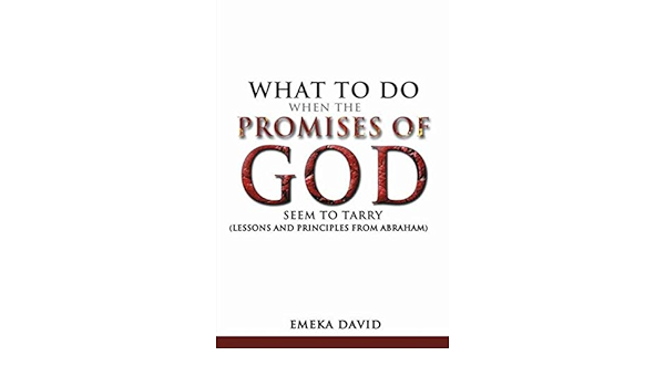 What To Do When The Promises Of God Seem To Tarry: Lessons And Principles  From Abraham: David, Emeka: 9781796648553: Amazon.com: Books