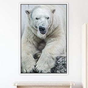 signwin Framed Canvas Wall Art Bear Animals Bear...