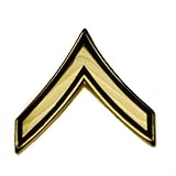 US Army Private E2 Pvt Rank pin
