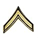 US Army Private E2 Pvt Rank pin