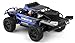 Exceed Racing Desert Monster 1/16 Scale Truck Ready to Run 2.4ghz (DD Blue)