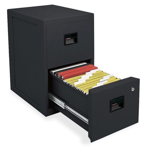 Sentry Safe File Cabinet - 12" x 18" x 9" - 2 x File Drawer(s) - Legal, Letter, A4 - Fire Resistant, Ball Bearing Glide - Black