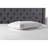 Simmons Beautyrest Beautyrest Latex Foam Pillow with Cover King