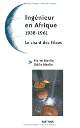 Ingénieur en Afrique