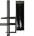 OneGrill Cordless Dual Post Open Fire Rotisserie System- 53 Inch Chrome (Chrome Motor)