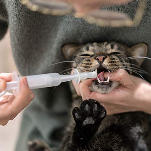 Pidan Pet Medicine Syringe for Cats Pet Piller Medicine Dropper Feeding Device Optimal Material Leakproof Ring Pistons Removable Parts Additional 3 Medicator Heads