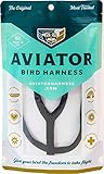 The AVIATOR Pet Bird Harness and Leash: Small Black