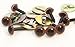 Sassy Bears 6mm Chestnut Brown Safety Eyes for Bear, Doll, Puppet, Plush Animal and Craft - 10 Pairs