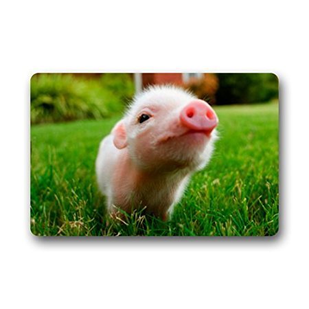 TSlook 40x50 Blankets Funny Cute Baby Pig Pet Animal Comfy Funny Bed Blanket