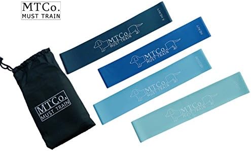 MTCo. Fitness Set of 4 Resistance Loop Exercise Bands for Home Fitness, Yoga, Pilates, Therapy, Stretching-12 Inch with Instruction Guide Book, Carry Bag
