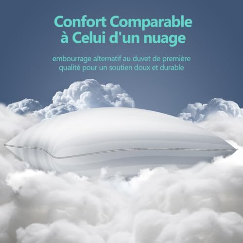 Lullabeau Pillow 40 x 70 cm Set of 2, Soft Pillows, Luxury Hotel Quality, Classic Pillows, Breathable and Soft, Washable, Ideal for Side Sleepers, Back and Belly Sleepers
