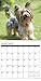 Just Yorkies 2018 Wall Calendar (Dog Breed Calendar)