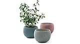 Keter NEW KNIT Style Planters Decor Pots 3 pcs