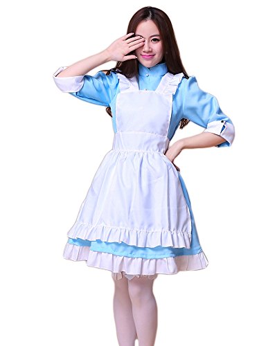 AvaCostume Anime Japanese Maid Dress with Apron