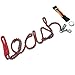 Dog Leash by GoPets, 6 Foot Sturdy Nylon Paracord Rope, for Small Medium or Large Dogs Includes Free Bag and O-Ring for Pet Training Lead Collar